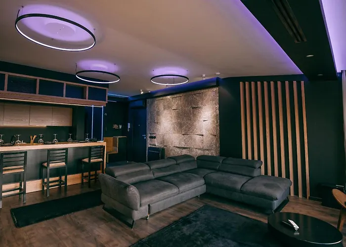 The View Penthouse1 科尔察